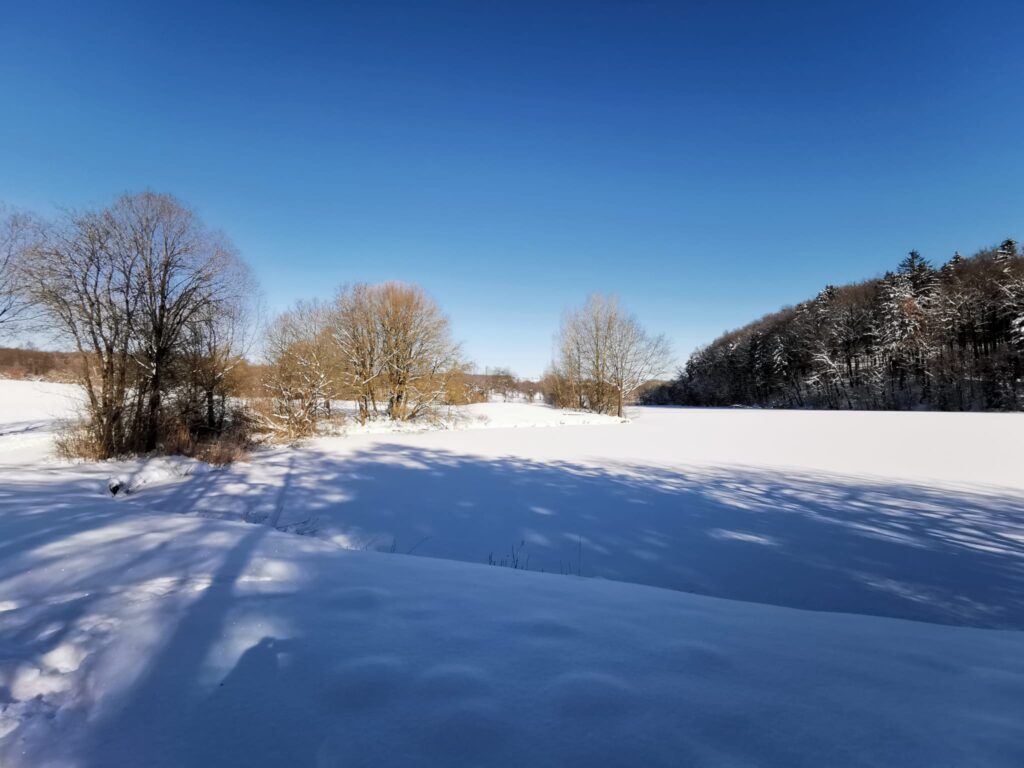 Winter am Stausee