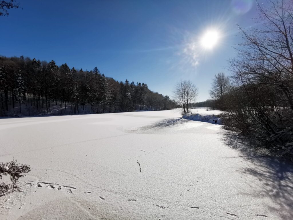 Sonnenschein im Winter am Stausee